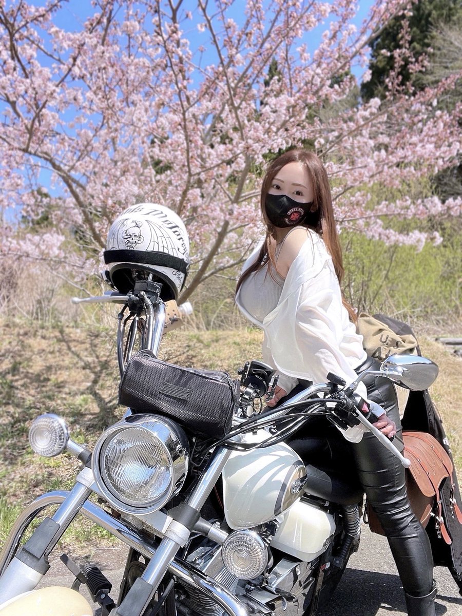 みぃちゃん みっちゃんZX-14R (@ym025) / Posts / X