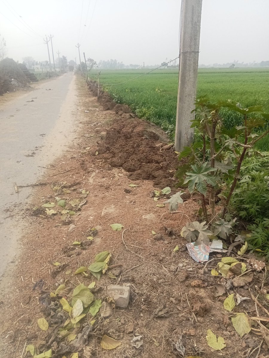 🚨 तत्काल पुलिस हस्तक्षेप आवश्यक | भूमि कब्जा, मारपीट व धमकी मामला – अलीगढ़ 🚨
मैं वीर कटारिया, निवासी ग्राम ततारपुर, ग्राम पंचायत समेना ततारपुर, थाना दादों, जिला अलीगढ़।
मेरी निजी कृषि भूमि (समेना रोड किनारे) पर गांव के कुछ लोग जबरन गोबर (गूरा) डालकर अवैध कब्जा कर रहे हैं। मना