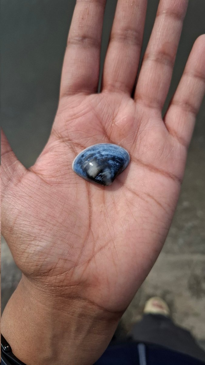 Anjali (അഞ്ജലി) tweet media