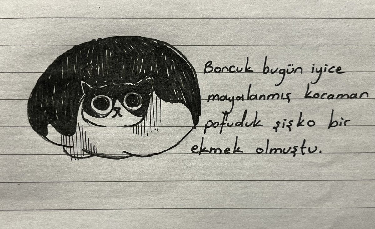 Daily Boncuk tweet media