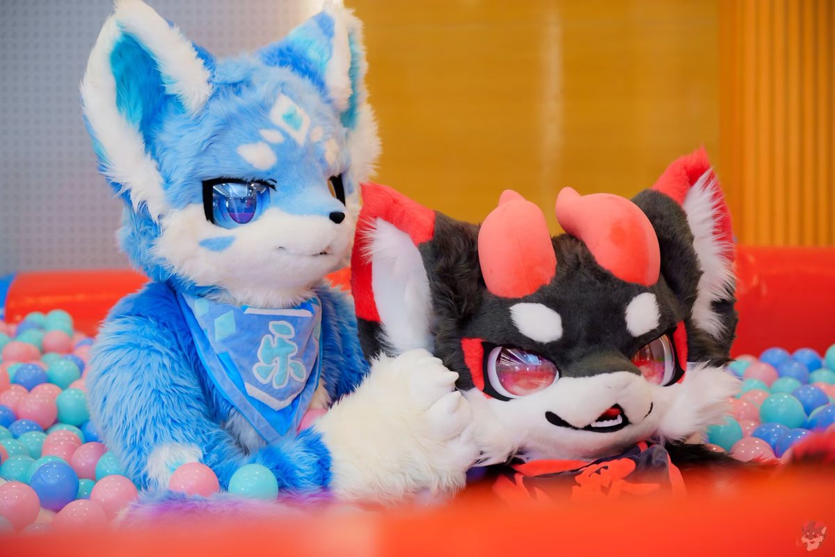 黑小焱 tweet media