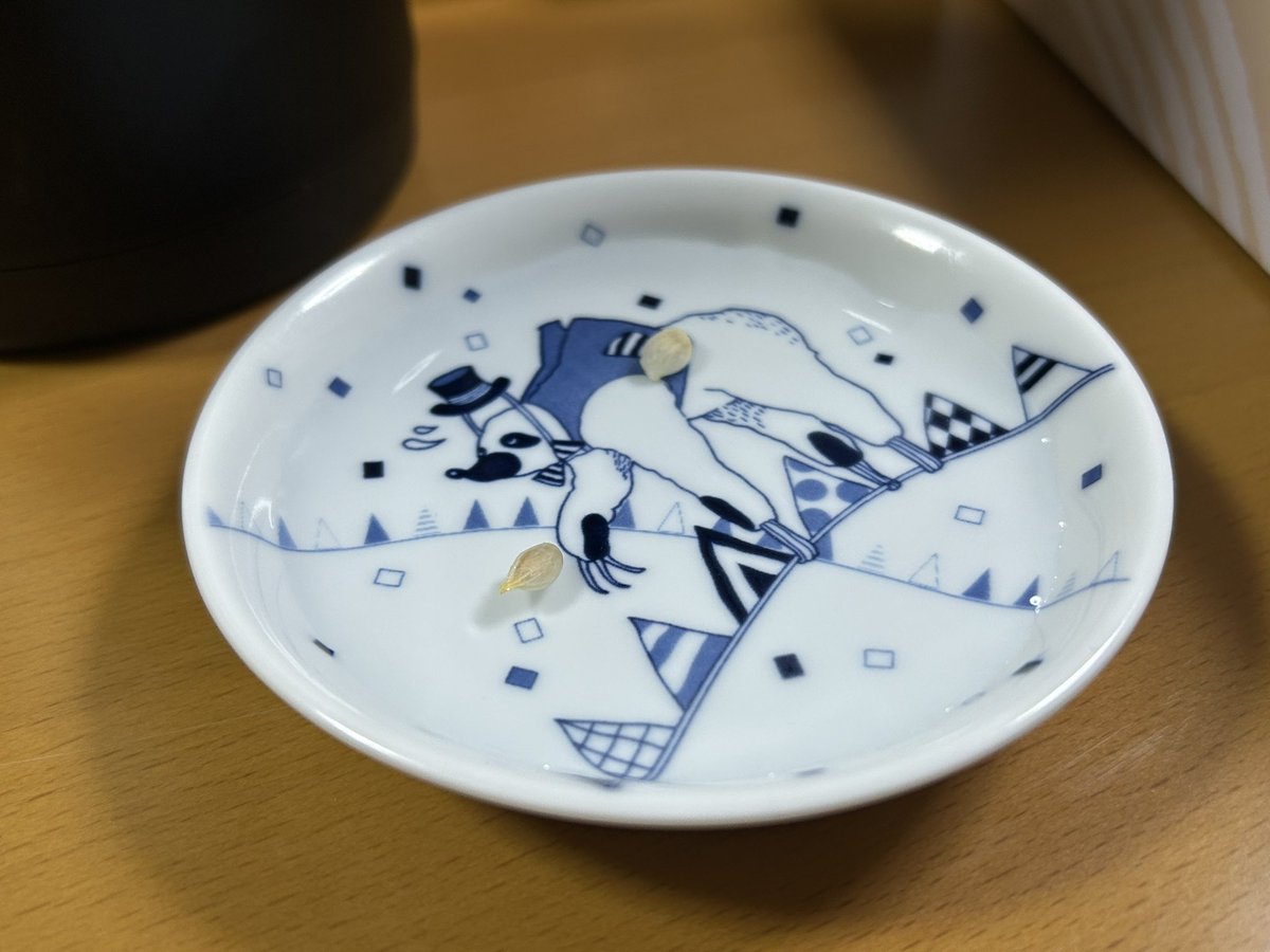 1/23 みかん4個食べて出てきた種を水見式（違う）で選別、沈んだ2つを