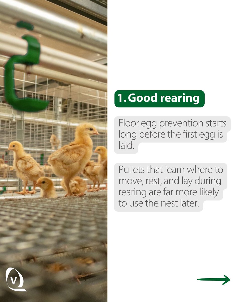 Vencomatic Group tweet media