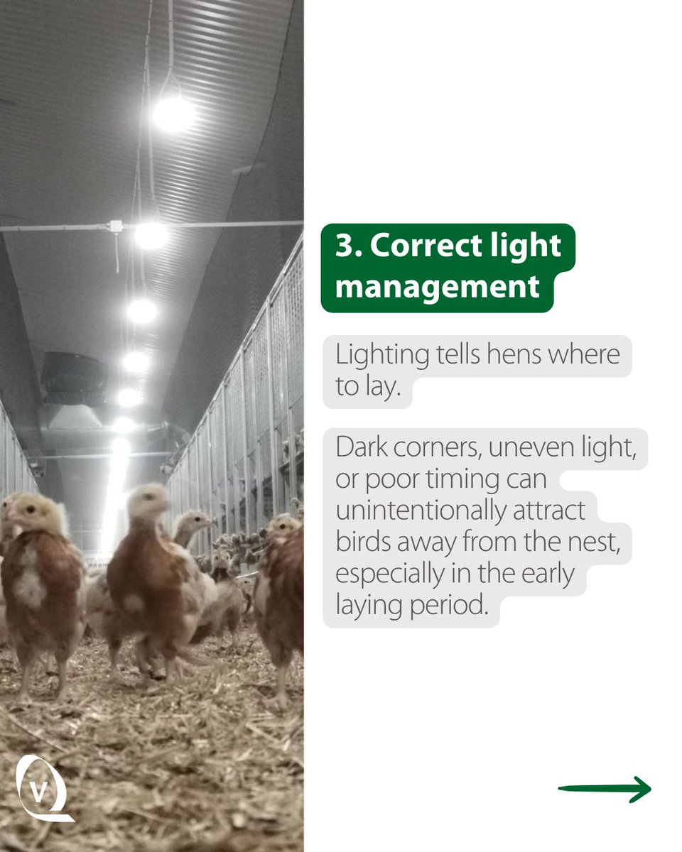 Vencomatic Group tweet media