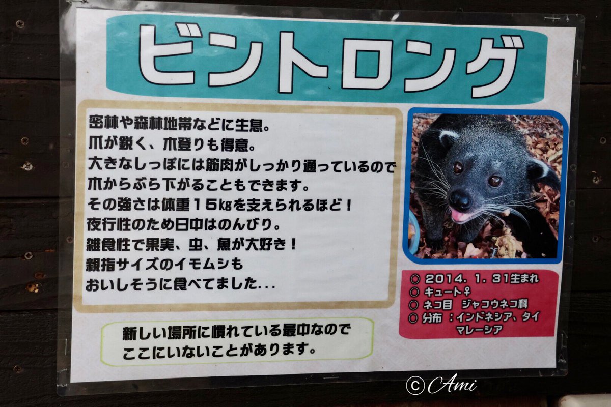 あっ、キュートちゃん もうすぐお誕生日だね🎂