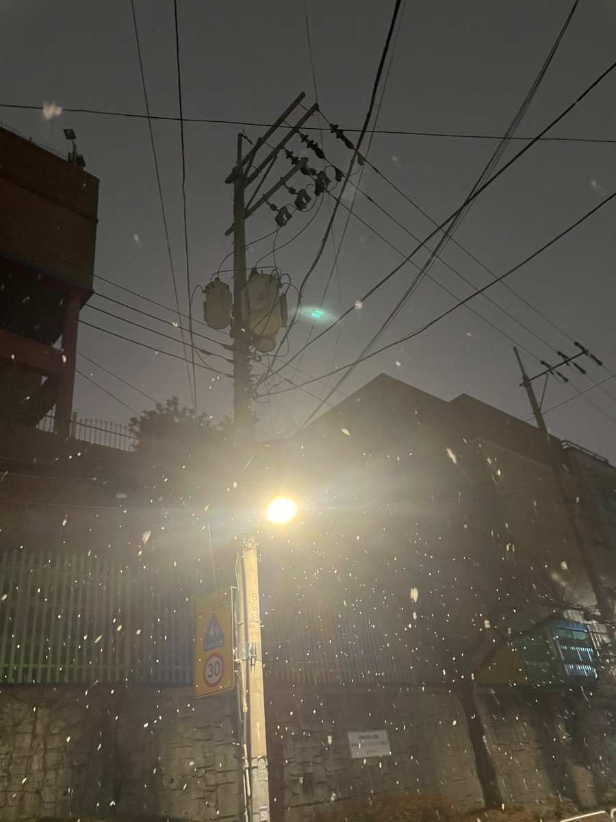 눈 와요 트친들!!