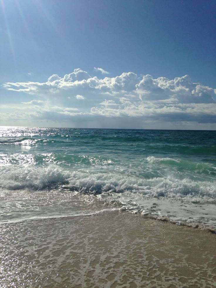 ocean (@hawsett4) on Twitter photo 