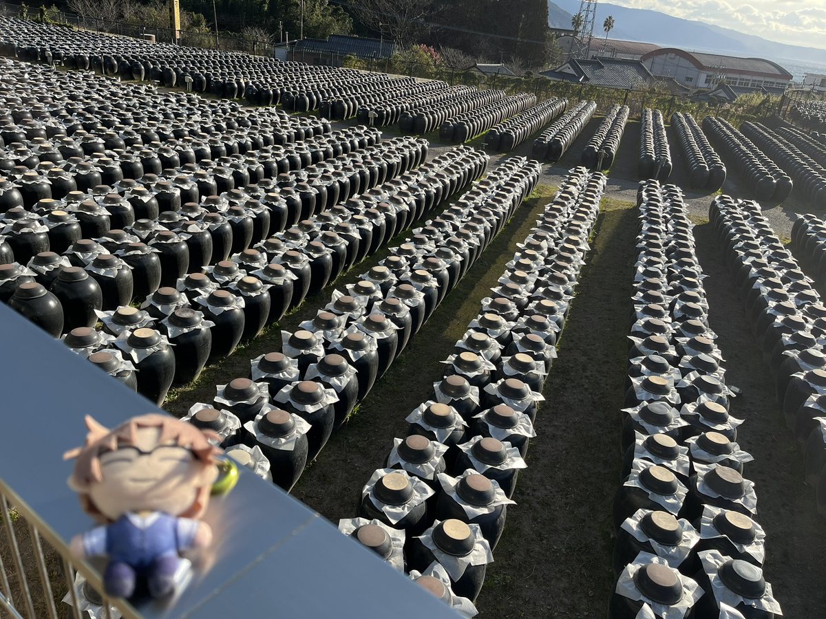 あおみどり tweet media