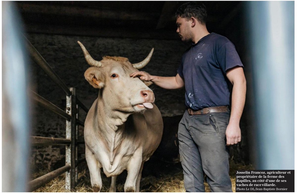 caligans's tweet image. 