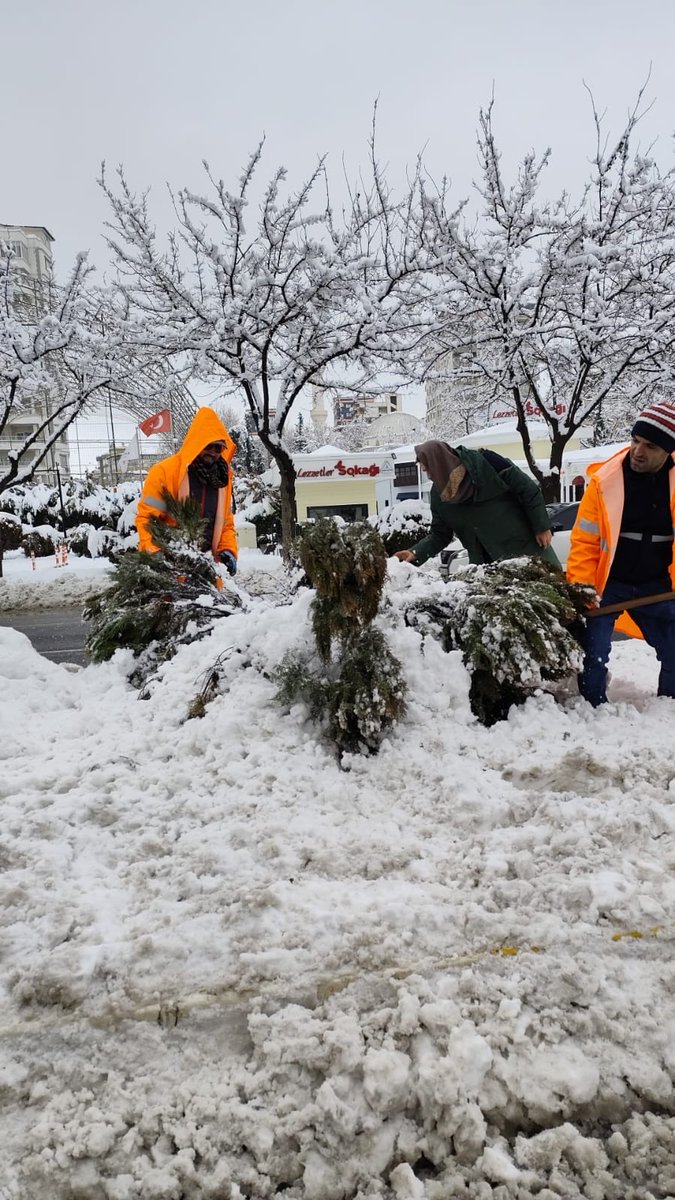 📍Atatürk Bulvarı ❄️
📍Gap Bulvarı ❄️

Park ve Bahçeler Dairesi  Başkanlığına bağlı ekiplerimiz;👷🚧👷

Yoğun kar yağışı nedeniyle zarar gören ağaçların, temizleme çalışmalarını hız kesmeden sürdürmektedir.🌲

<a href="/sanliurfabld/">Şanlıurfa Büyükşehir 🇹🇷</a> 
<a href="/halilaldeniz_/">Halil Aldeniz</a> 
<a href="/Tuba_Yaygin/">Tuba Yaygın</a>