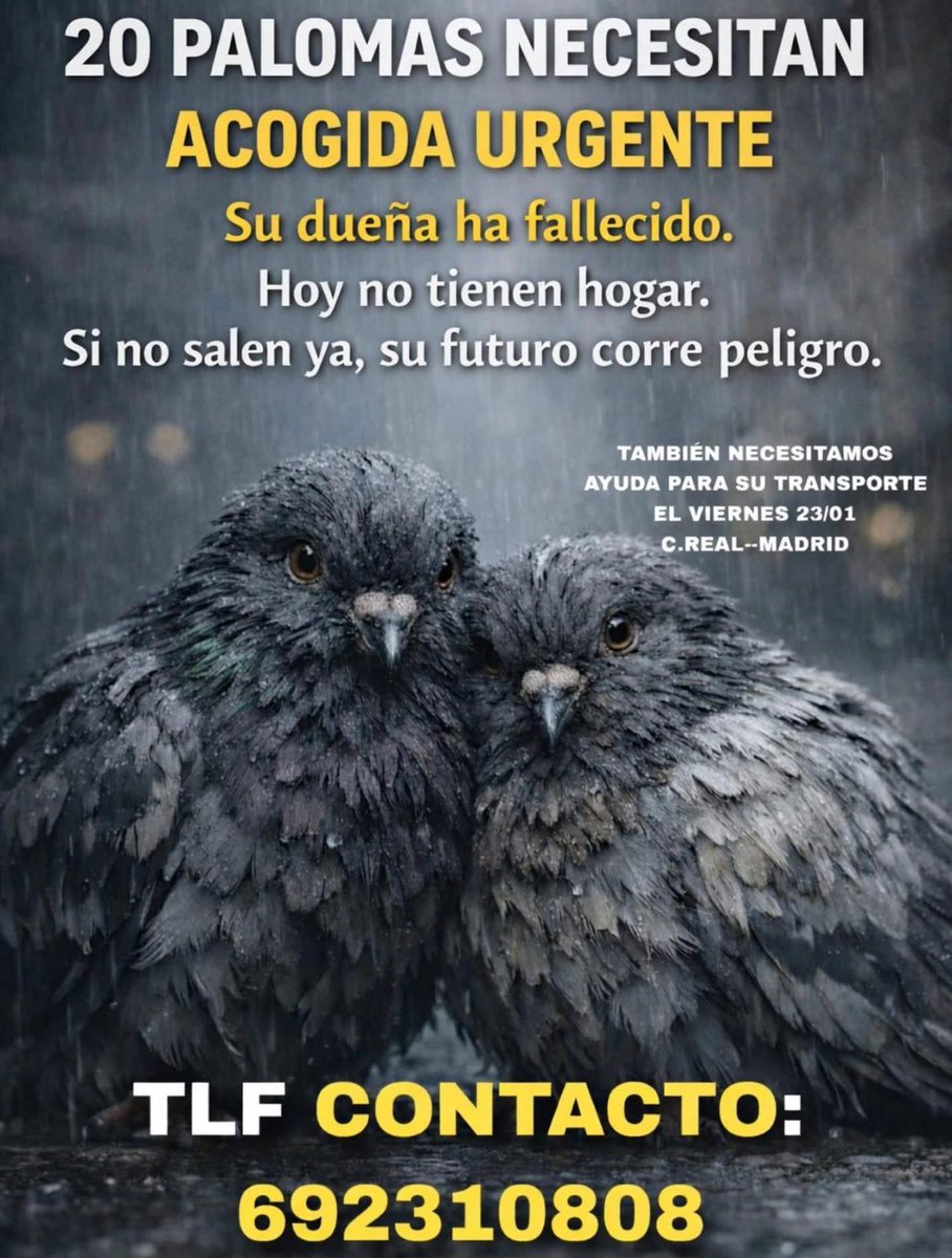 Necesitan Acogida y transporte .
También son Animales que necesitan Ayuda y que muchos odian como Plaga.