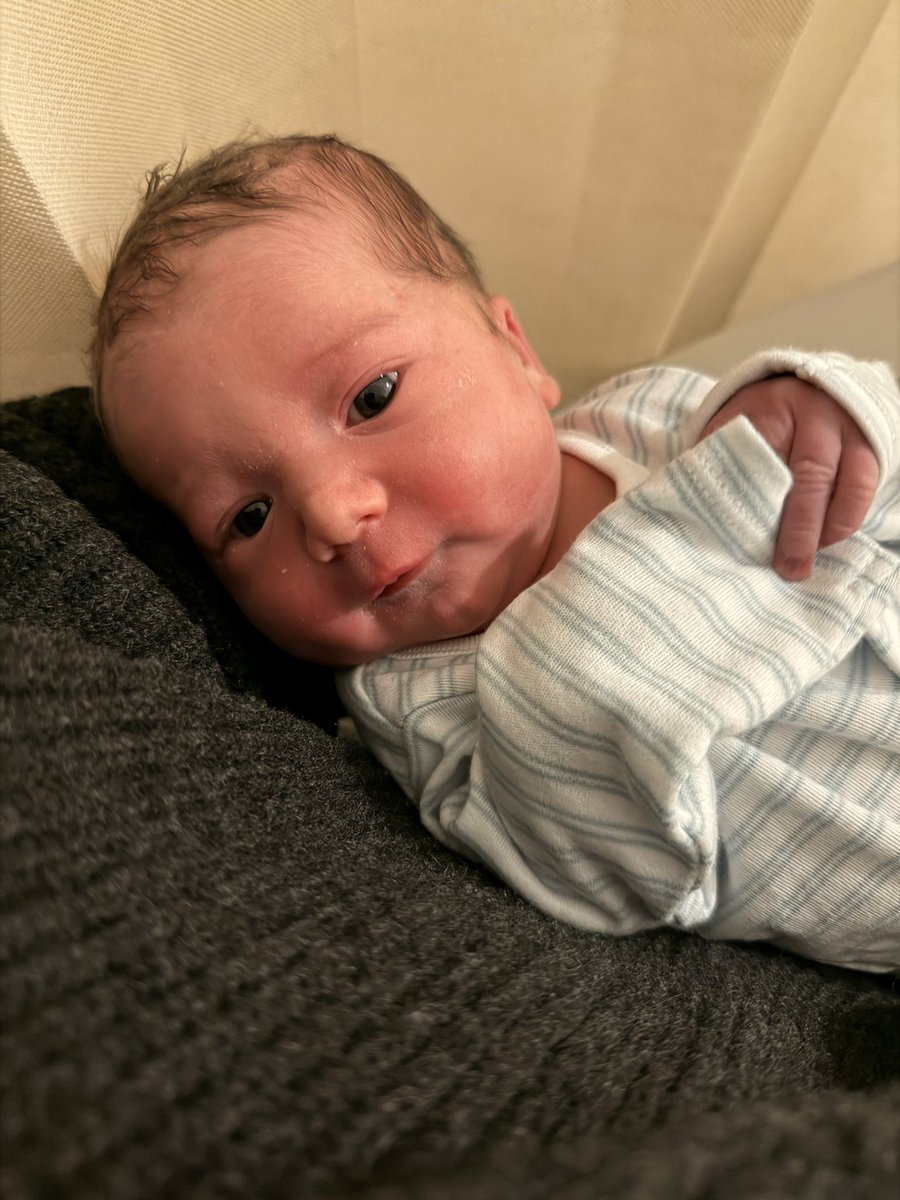 Sam Bowman tweet media