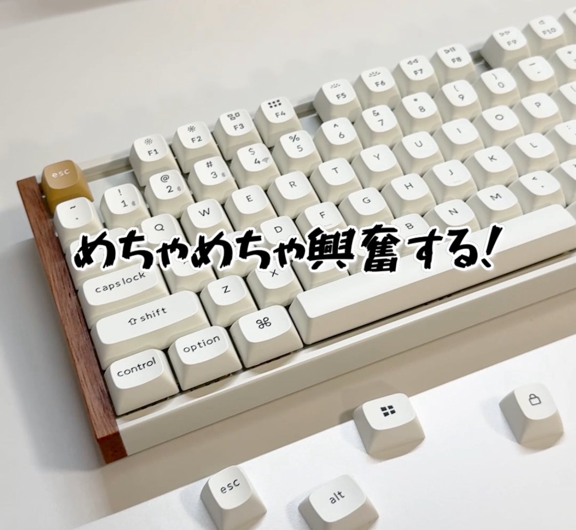 きらく︎︎︎︎︎︎☾*。 (@kirak_mono) / Posts / X