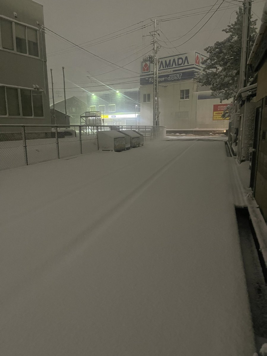 はや🌟 tweet media