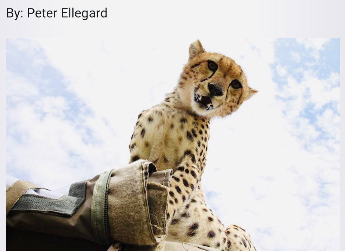 <a href="/MamaRachelRuto/">Mama Rachel Ruto, EGH</a> We have been to <a href="/magicalkenya/">Kenya Tourism Board</a> and we’re delighted to hear this piece of news!👏🏼👏🏼👏🏼