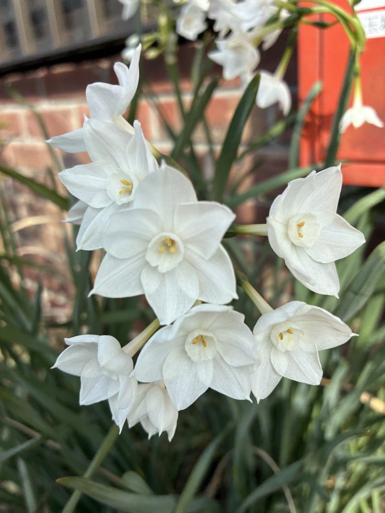 こんにぴあ

明日は　5周年記念イベントです

上大岡のウィリング横浜で行います。

さて　先週(1/13〜1/16)の相談は
電話　18件
メール　3件　でした