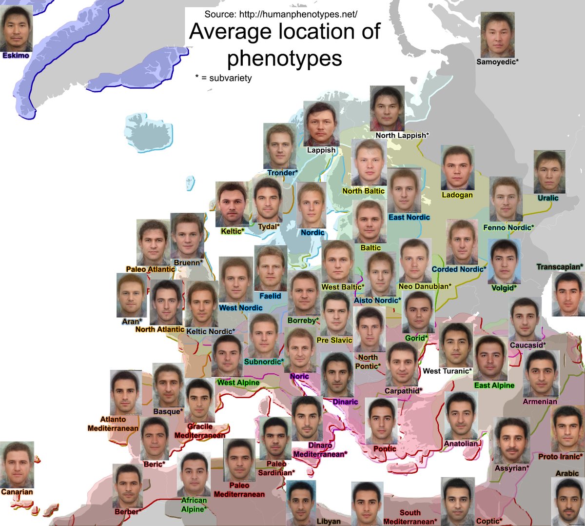 Male phenotypes in Europe and surrounding areas.