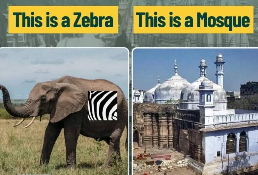 Truly unbelievable 😂