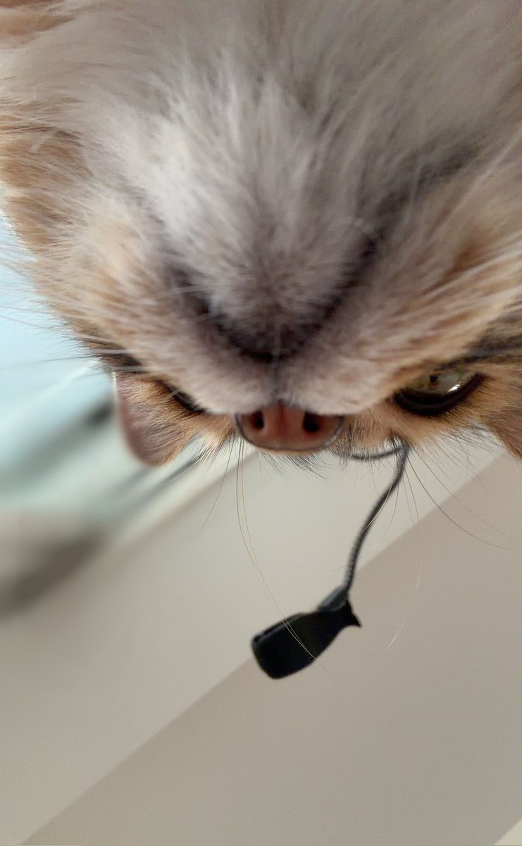 柊 優花⋈ tweet media