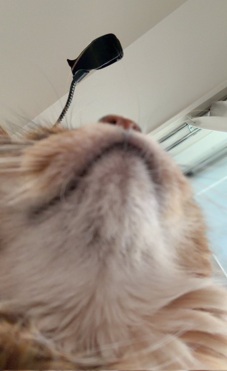 柊 優花⋈ tweet media