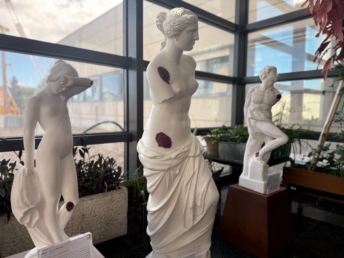 Salud Madrid tweet media