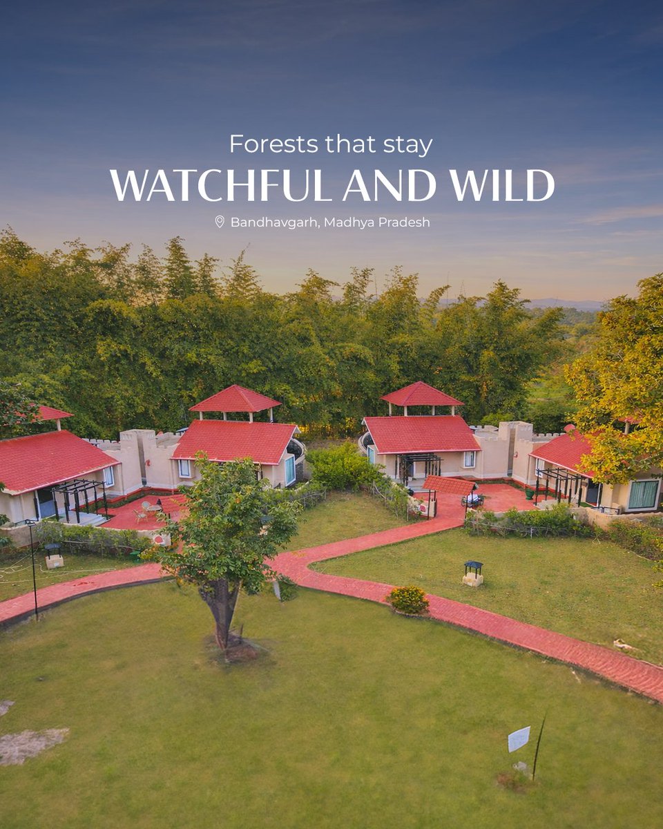 Across all Club Mahindra Resorts, every landscape offers a different way to holiday. Islands, forests and hills each bring their own pace and mood. It is about choosing the experience that fits you best and letting the journey follow naturally.

#ClubMahindra #Holiday