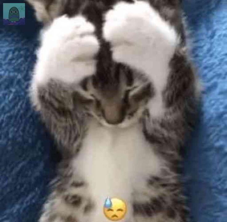 Tanyarl 💚 tweet media