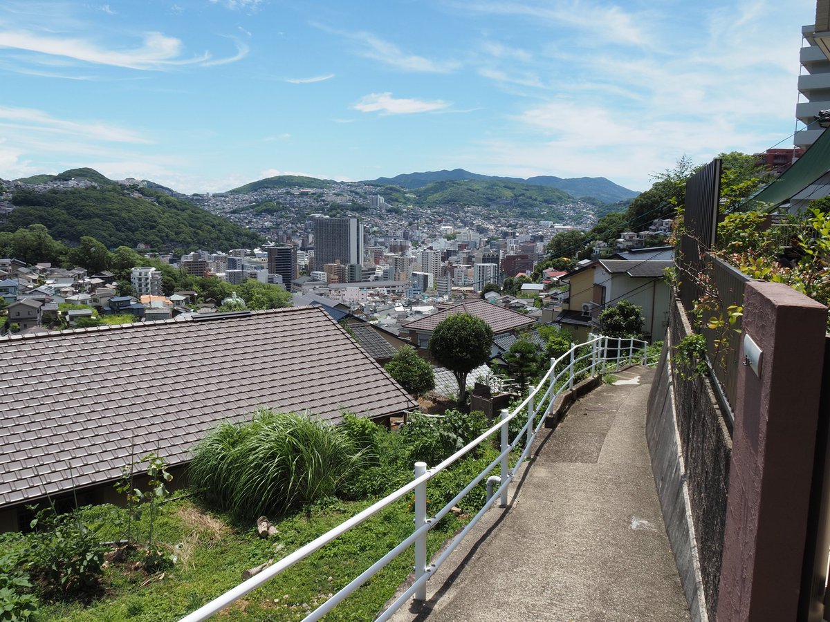 鱈 (@taratara_cod) on Twitter photo 