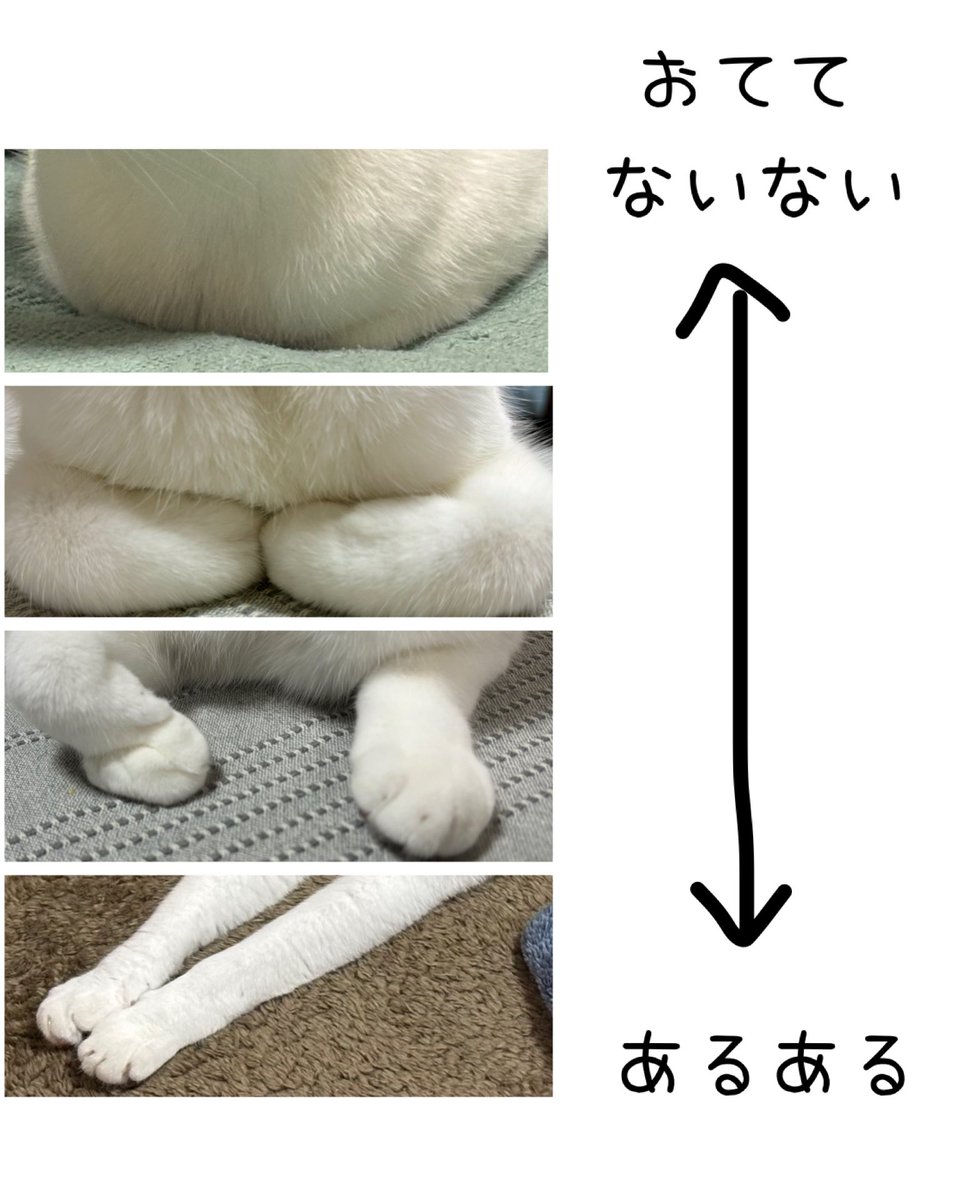 おててないない表