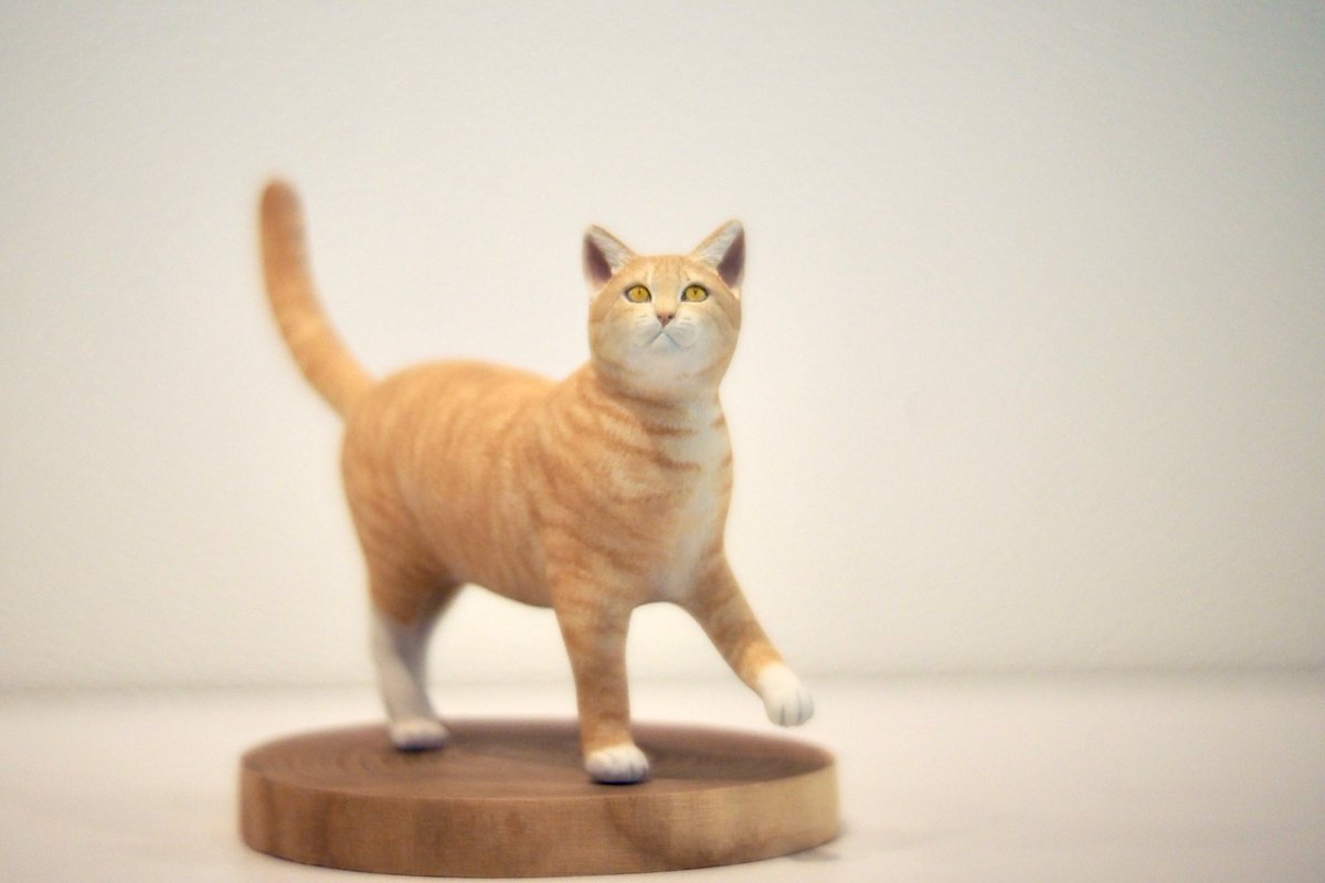 猫分たっぷり補給してきました♪ 1枚目の仔をキープさせて頂きました