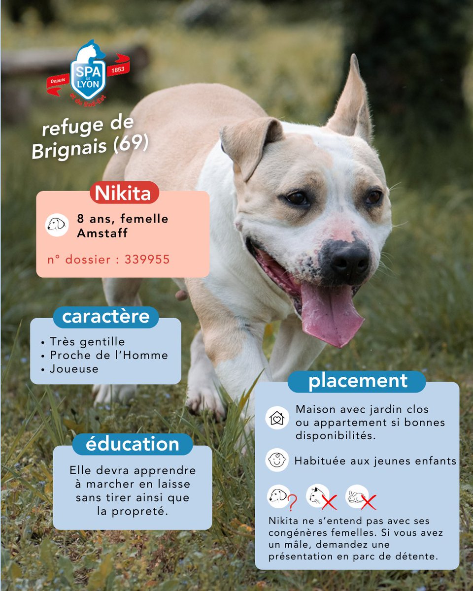 SPA de Lyon tweet media