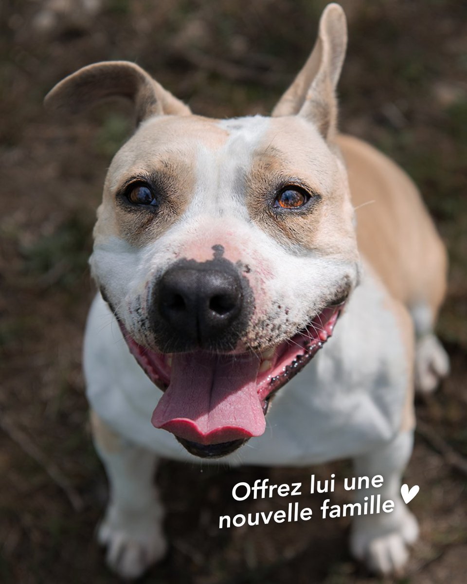 SPA de Lyon tweet media