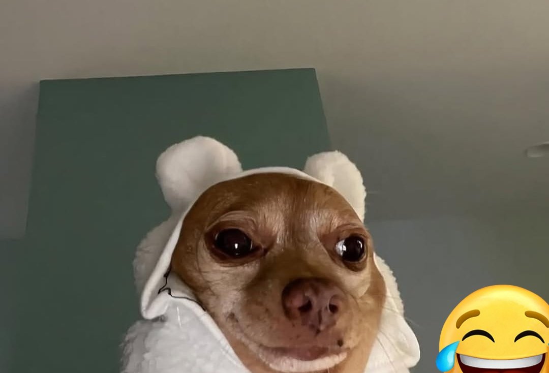 called_eben's tweet image. I post this here because I know you will never be taller than me 😏😂