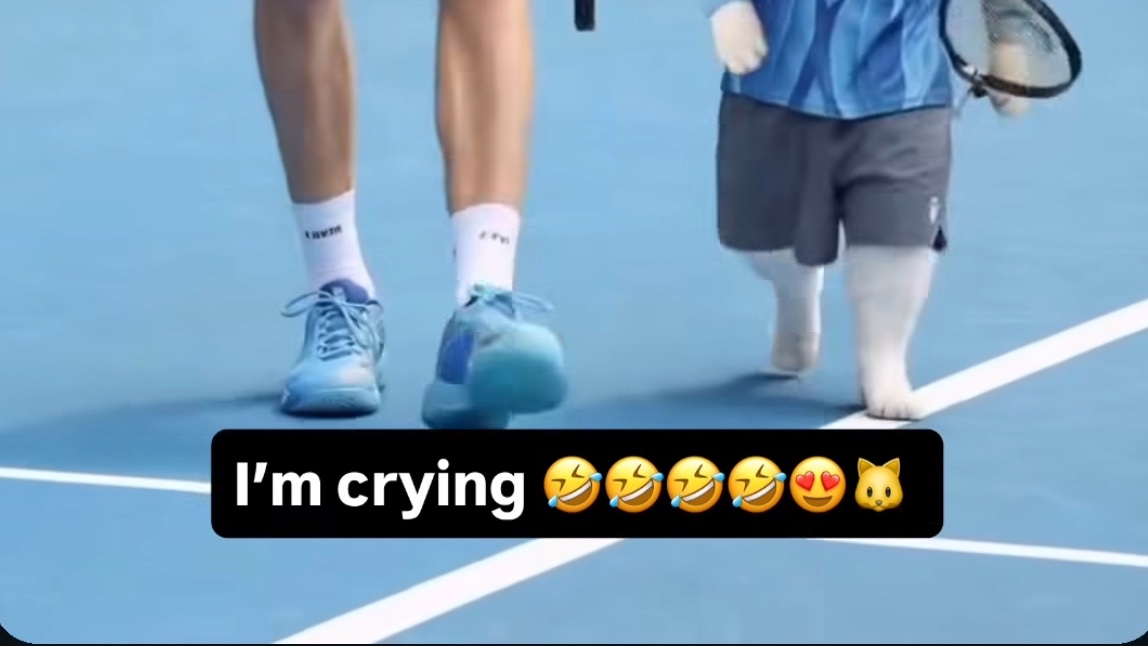 tozierblevs's tweet image. andrey “too old for emojis” rublev