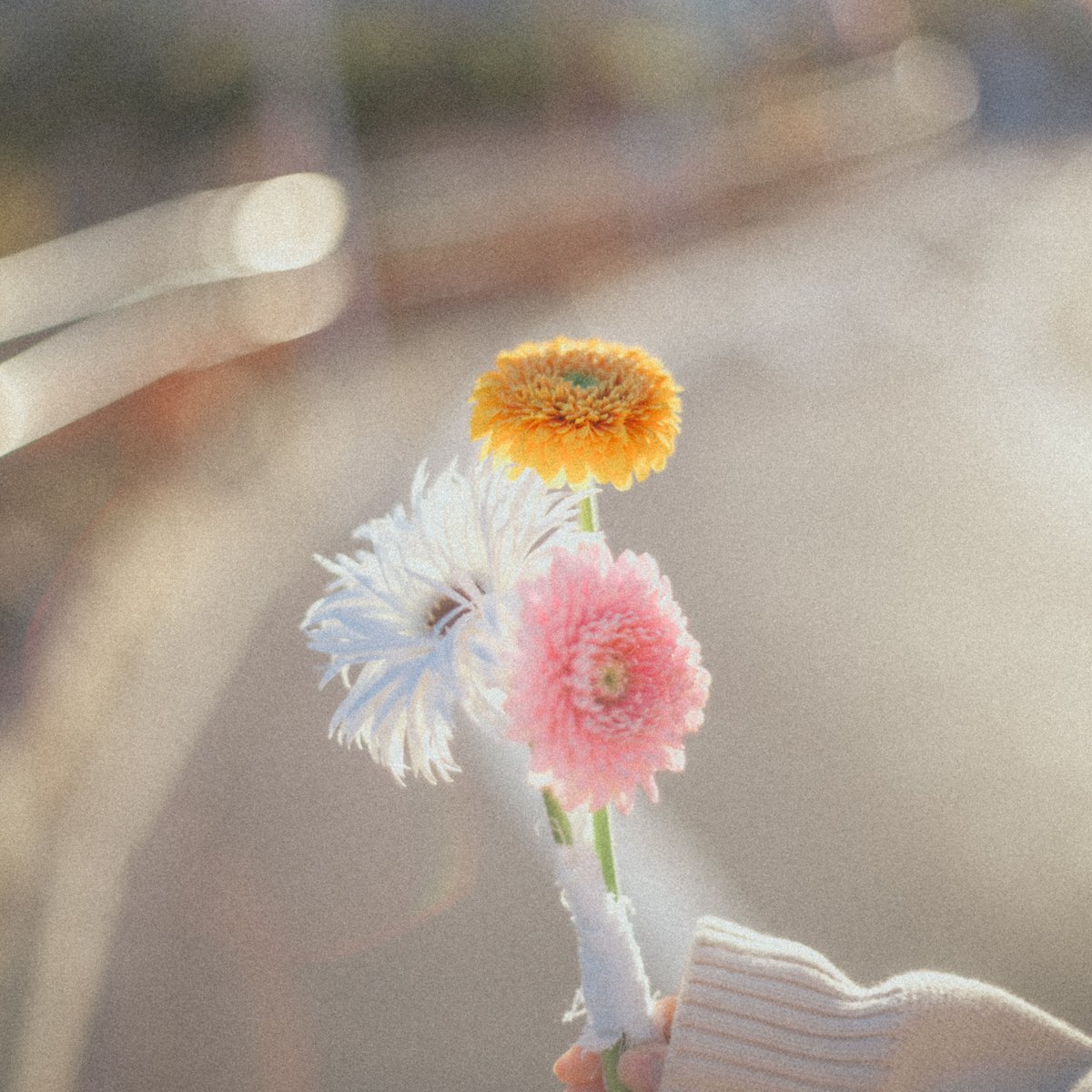 shifuku_poncho's tweet image. 【　🎧#AmazonMusic🎧　】

EP「なんかいい日になる気がする」の収録曲が
@amazonmusicjp 公式プレイリストに多数リストイン✨

・Brand New Music
music.amazon.co.jp/playlists/B096…

・Fresh J-POP
music.amazon.co.jp/playlists/B076…

・Fresh J-ROCK
music.amazon.co.jp/playlists/B07Y…

Amazon Musicで聴いてる方はこちらから✅