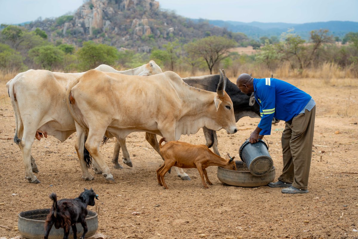 Takunda RFSA tweet media