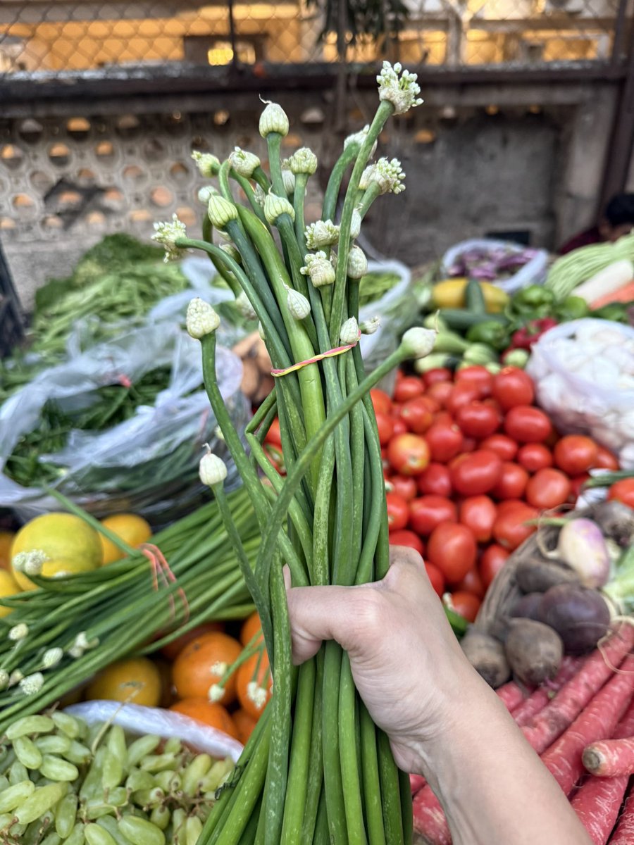 apooorva's tweet photo. Perks of visiting a local market- finding such seasonal produce! https://t.co/r9UK48BBQC