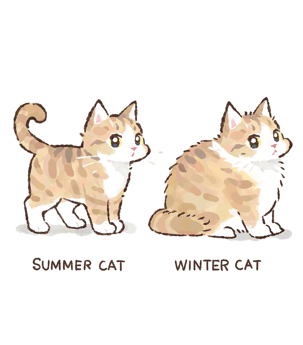 gentleeeeeeecat's tweet image. 