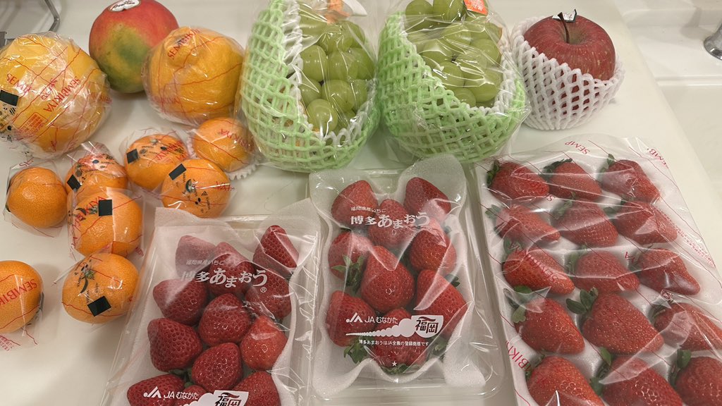 ぽ*た様 ❤️開花株❤️根充実❤️沢山新芽元気株3214【SD】いちごレモンみる うわぁーーー‼︎いちご🍓多めのシャインマスカット🍇その他フルーツ