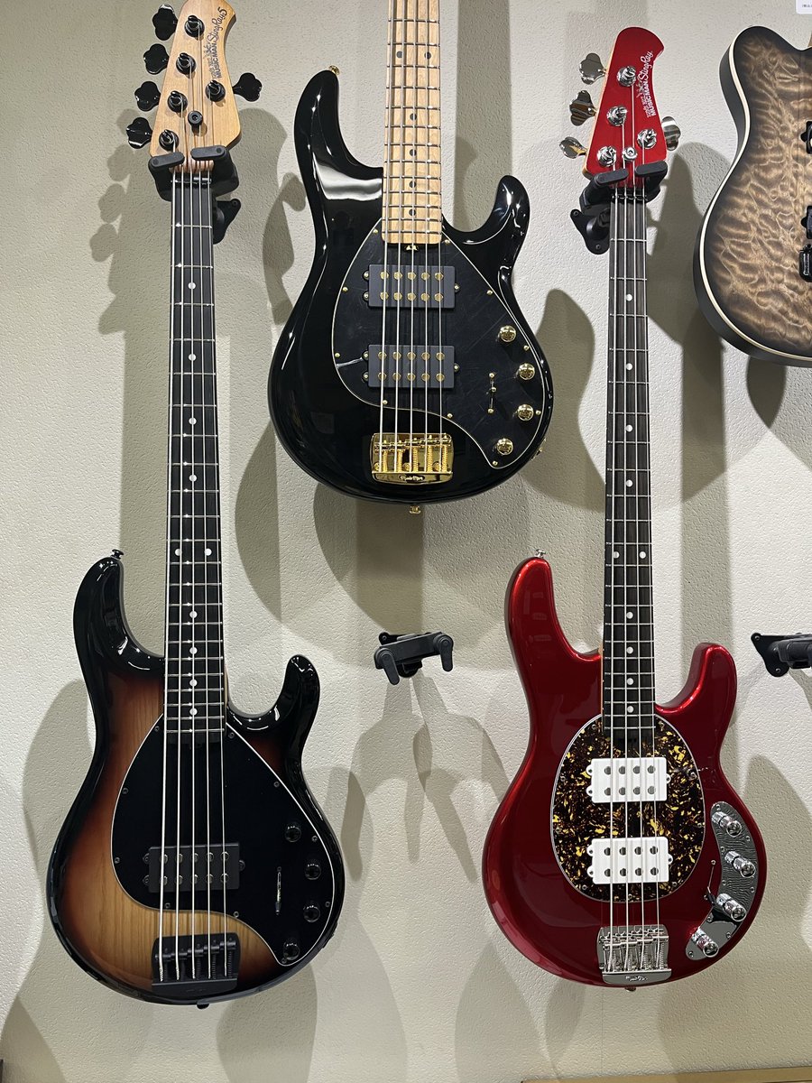 ミュージックマン、スポット選抜！ノーマル4弦は全滅もレアな5弦等が