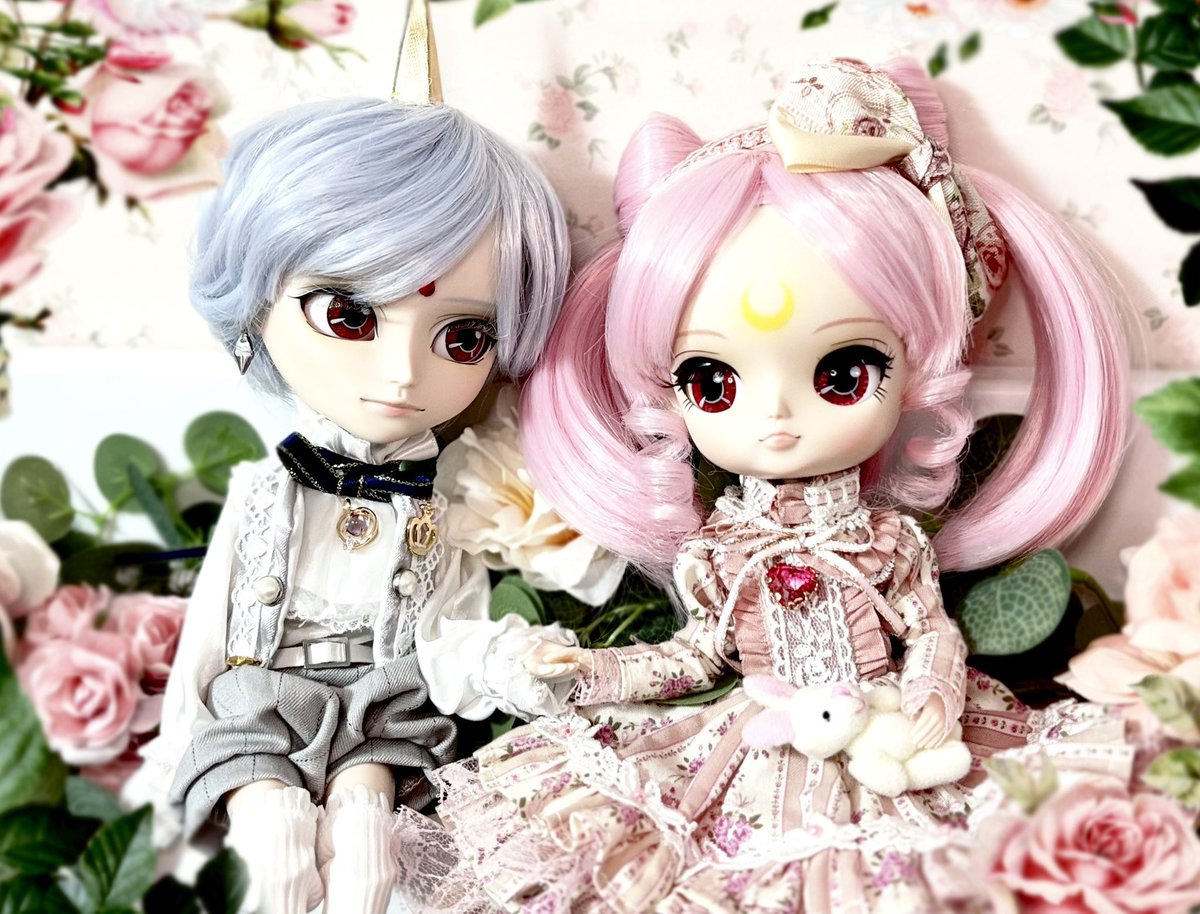 doll__ssr's tweet photo. ꫂ ၴႅၴ‧⁺ ⊹˚.
#Pullip #DAL #Isul https://t.co/pJv6jOuntm