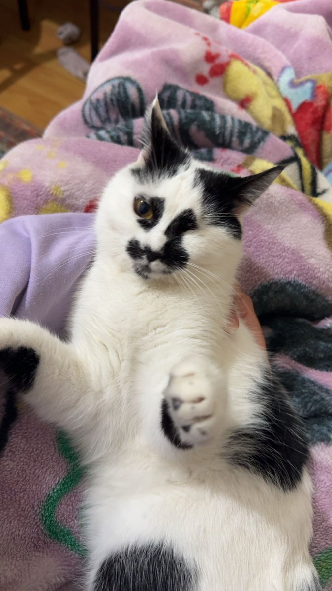 hayırnı sabahlar hayırnı cumalar böğün azzcık sinirli uyanmısım