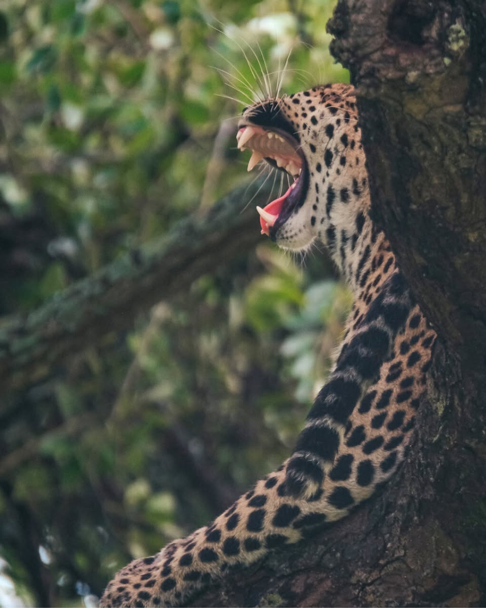 B & H Rakifi Tours Ltd tweet media