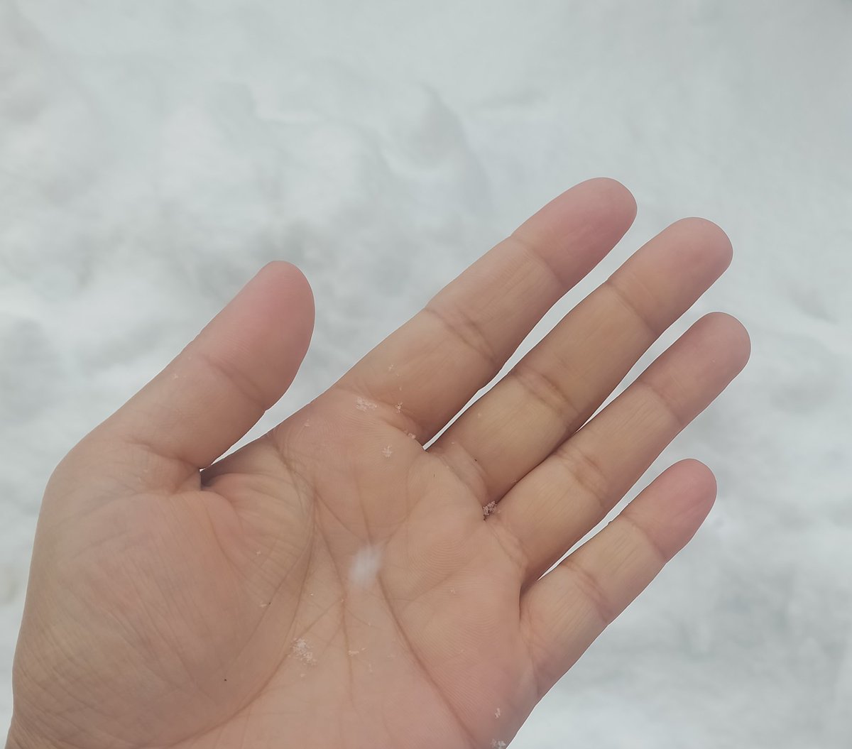 Rukkayyah07's tweet photo. With the very first snowfall, how many of us still step into the shoes of Walid, wrapped in warmth and memories 🌨️ https://t.co/xCJrYRfZ0Y