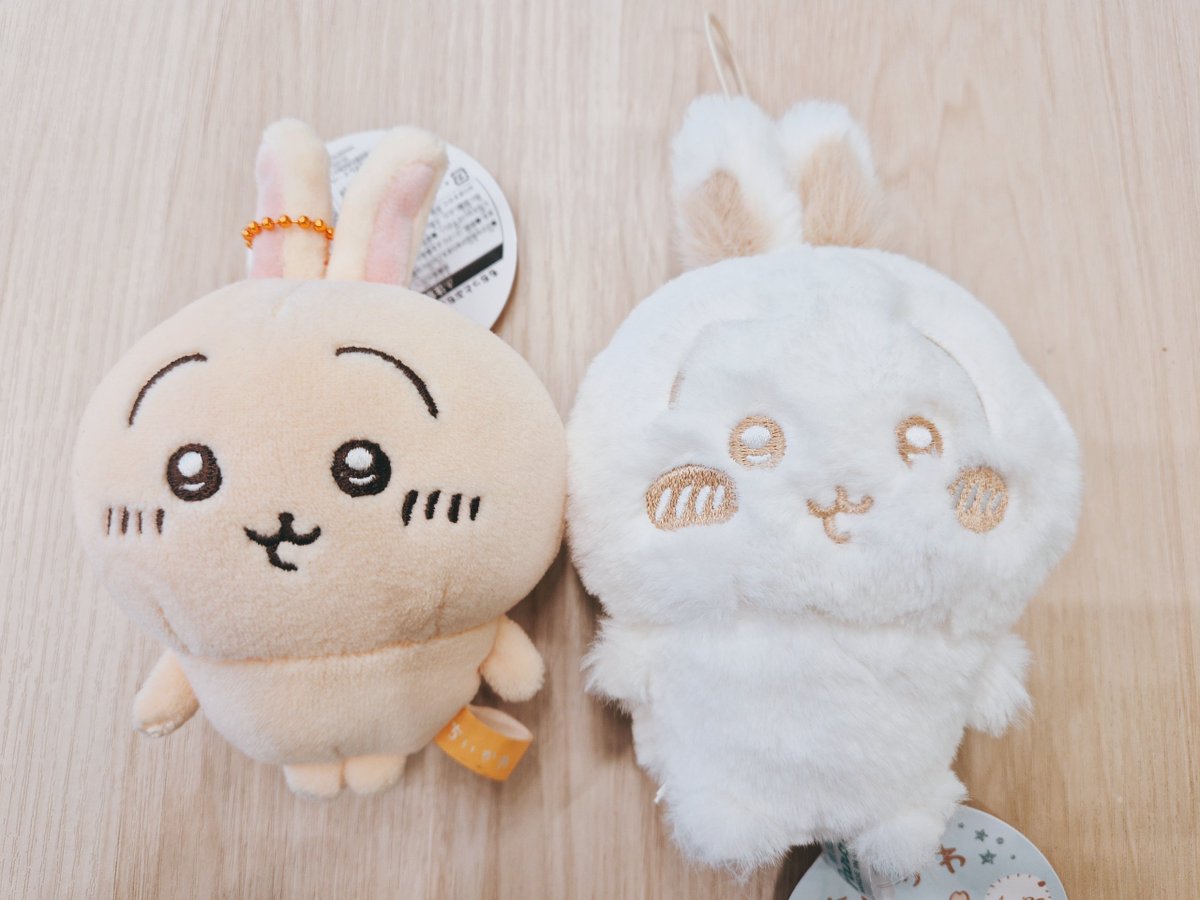 うさぎが増えた😭😭😭😭😭