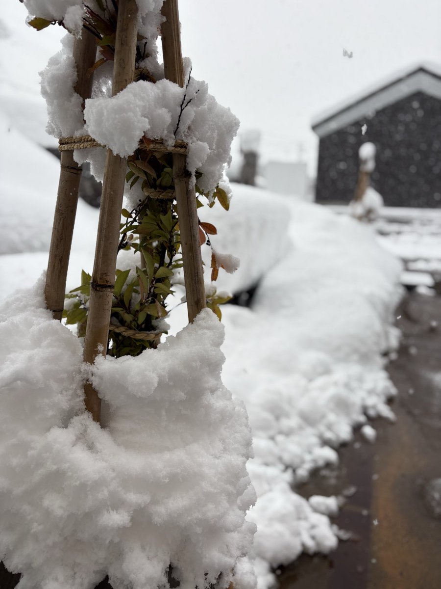 本日雪の為、やはり1時間早めの
16時閉店とさせていただきます🙇‍♀️
申し訳ありません🙏🏻