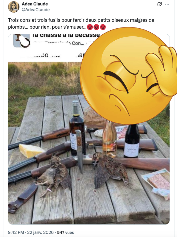 Savent pas ce qui est bon, moi je dis, les Marie-Clitorine...

#Bécasse
#Gastronomie #ArtDeVivre
#Chasse #ChassePartage

🧑‍🍳 — Bécasse à la Carême
Rôtie, bardée, avec croustade de ses entrailles et sauce liée au vin et au beurre  — 🧑‍🍳

Ingrédients 
(2 personnes)
🔹 2 bécasses