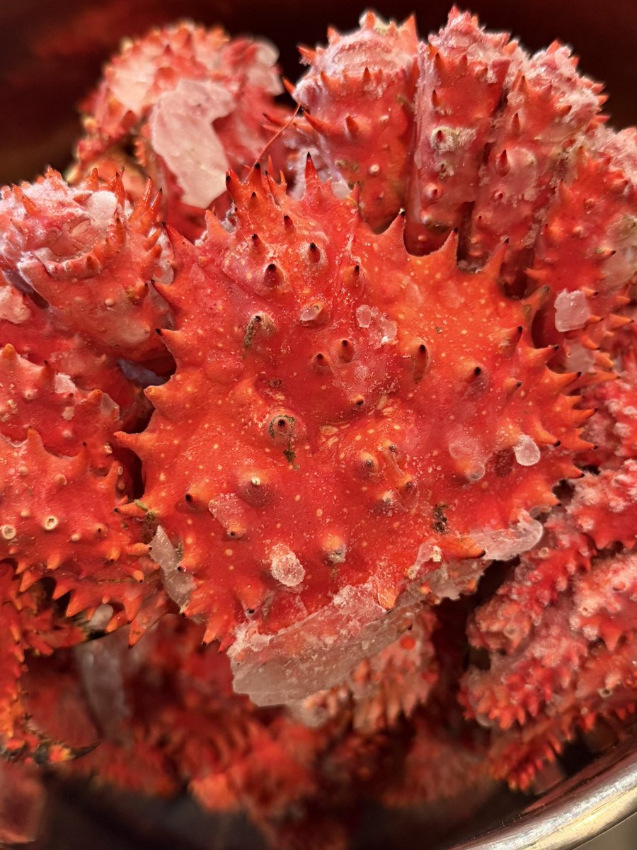 1/23 金曜日 18:00オープン！ カウンター2席ご案内可能です 【限定