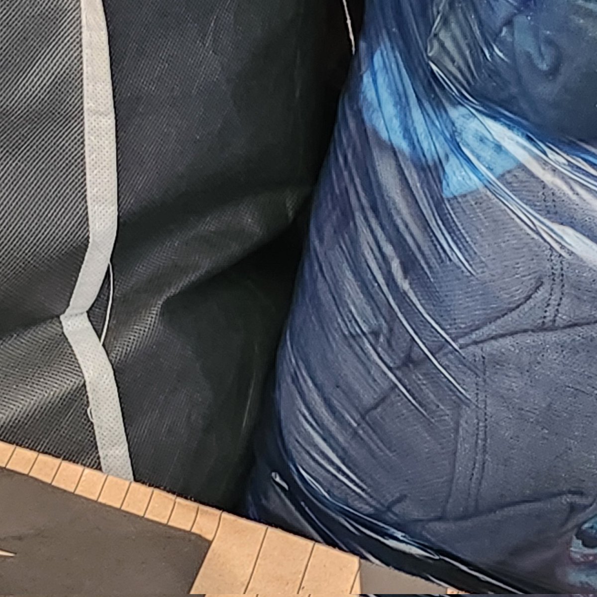 카나프 Kanaph📜💐 tweet media