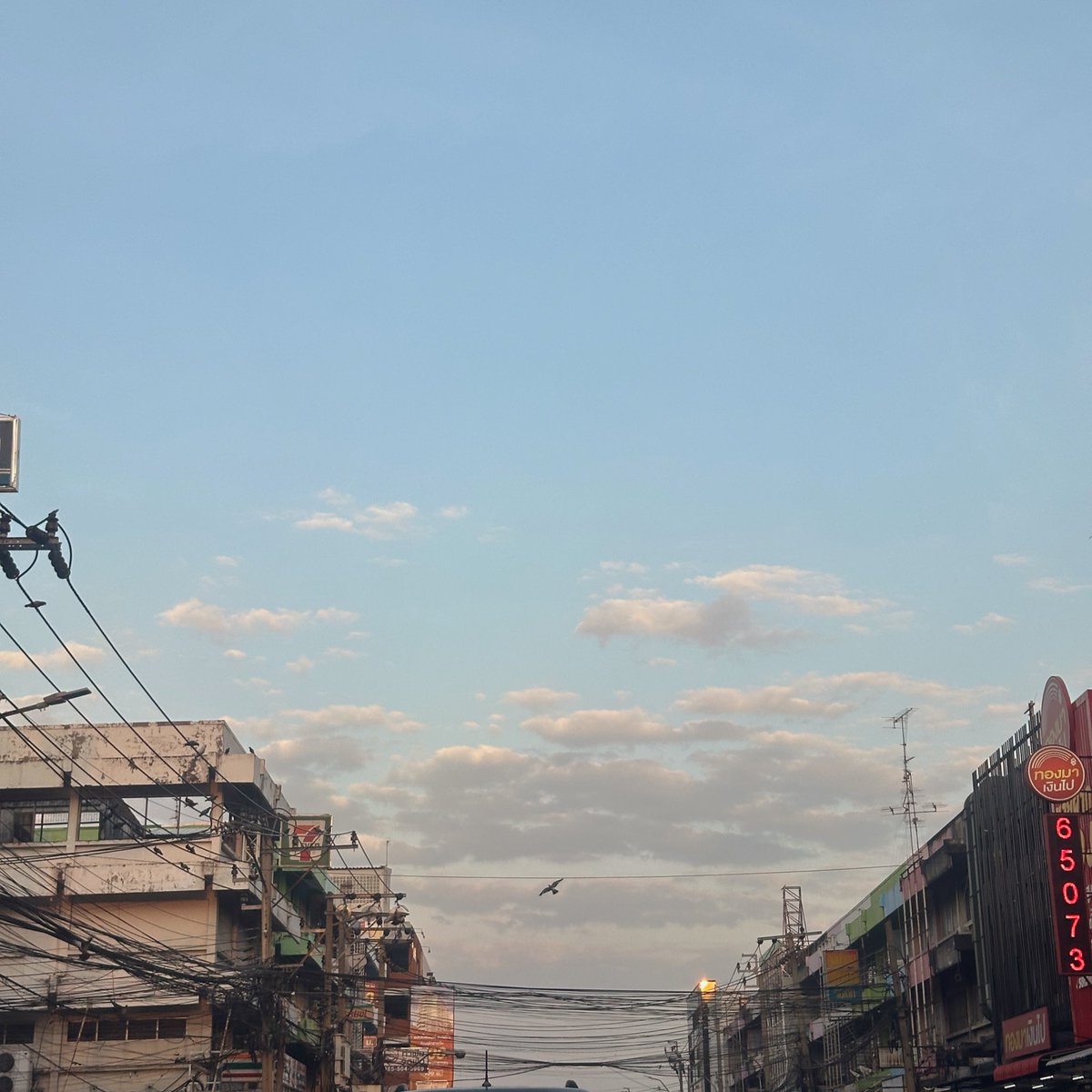 TuiChayatorn's tweet image. 🐱🐺😬